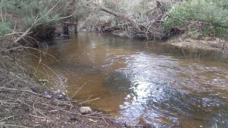 Downstream from collection area