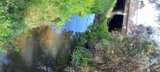 Stony Creek, MSO670 upstream