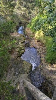 View downstream of site