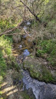 View upstream of site