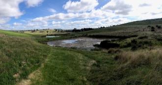 Looking North towards Mt Buninyong - Photo M Dowler