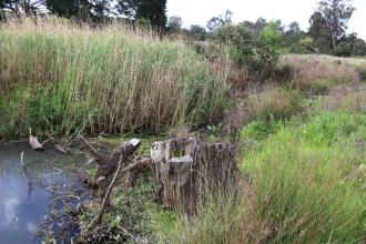 Upstream