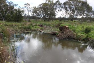 Down stream