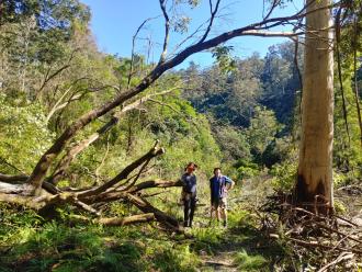 sampling track cleared 19 October 2023