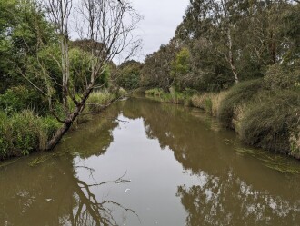 Looking downstream