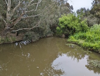 Looking upstream