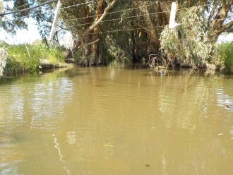 Upstream from test site