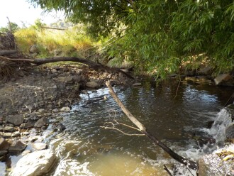 Downstream from test site