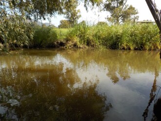 Opposite bank from test site