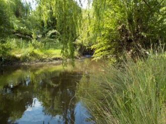 Downstream of test site