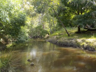 upstream of test site