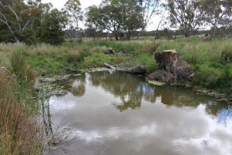 Down stream