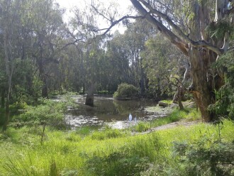 SPP pond