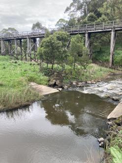 Trestle Bridge Timboon