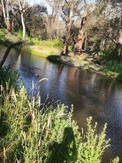 looking toward the opposite bank