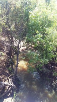 MOE 070 Looking upstream from bridge