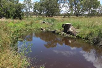 Down stream