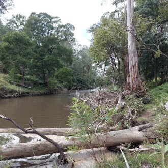 Looking down stream from the sampling point