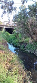 Stony Creek, Cruikshank Park, upstream