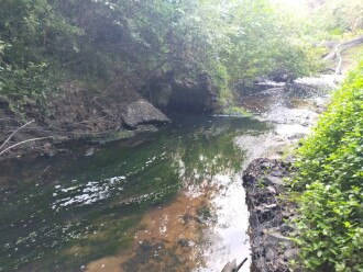 View looking downstream under bridge