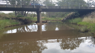 taken on 5-02-2024, looking downstream at debris on bridge