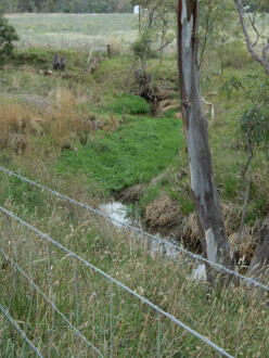 taken on 5-02-2024 looking at the channel which is about 500m north of Stewarts Lane