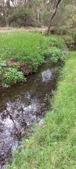 Stony Creek, Cruikshank Park, Yarraville