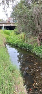 Stony Creek, Cruikshank Park, Yarraville