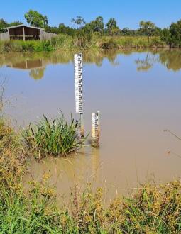 First pond, level low