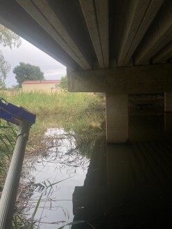 ducks also crossing the weeroona ave bridge [ not the knight st one pictured]