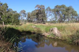 Down stream