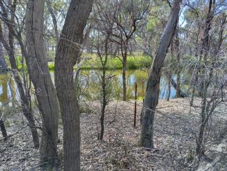 Murray River Site photo