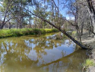Murray River upstream
