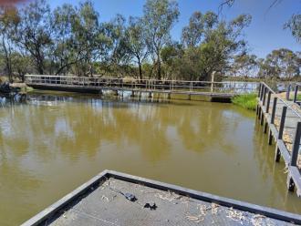 Regulator Kings Billabong ex Murray River