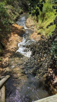 Looking downstream