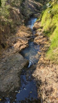 Looking downstream