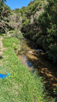 Looking upstream