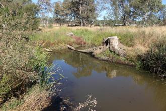Down stream