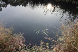 Site