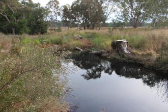 Down stream