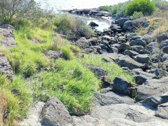 View North towards bay