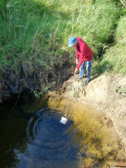 sampling site, view south