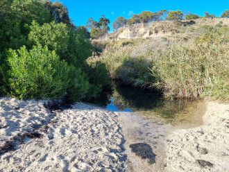 View South across the pool. Sample was taken further up behind the pool.