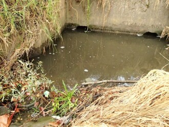 Water in pit in drain, trickling out slowly toward front left vegetation