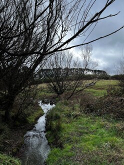 downstream, over bridge