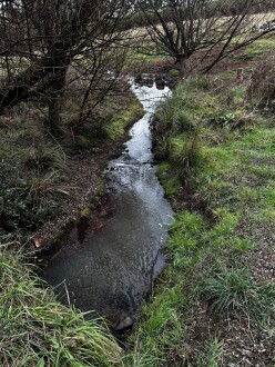 downstream, over bridge