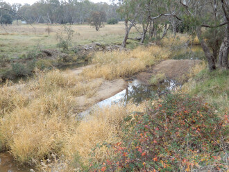 taken on 4/06/2024 looking downstream at sandbars