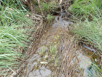 taken on 4/06/2024 showing water flow in the channel 500m north of Stewarts lane