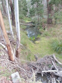 Looking south from road bridge