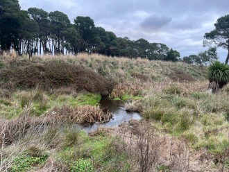 Newlyn res outlet to Birchs creek looking downstream